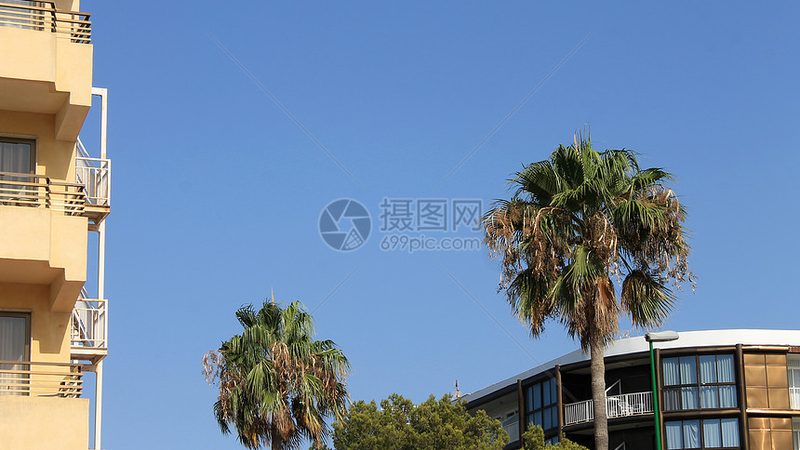 选择护臀护膝时，应考虑以下因素：